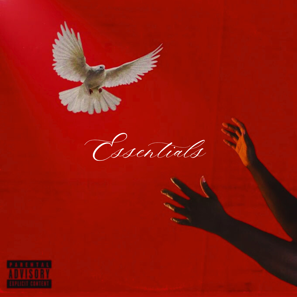 Reggaeton Essentials Multi Kit